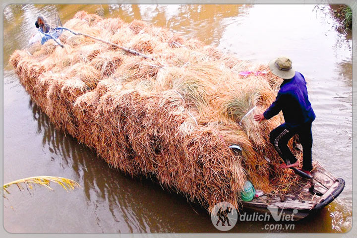 Du lịch miền Tây - Du lịch Cà Mau 2 ngày 2 đêm giá hót Hè 2025